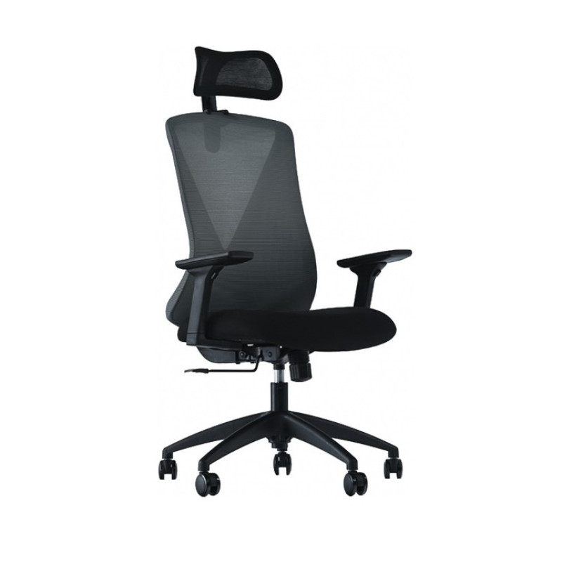 ORFE PA FİLELİ MAKAM MÜDÜR KOLTUĞU