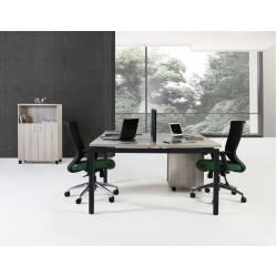 MOTTO PS02 İKİLİ WORKSTATION