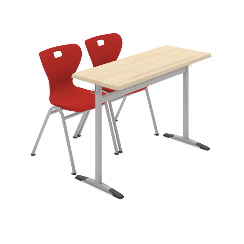 BEGONYA ÇİFTLİ SIRA